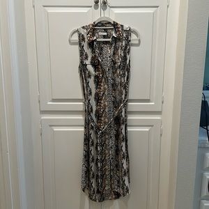 Equipment Silk Shirt Dress